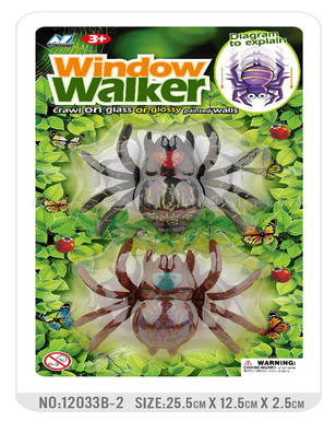 2 Zhuangwall-climbing spiders