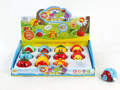 Chain tipping beetle. Fruit (boxed)