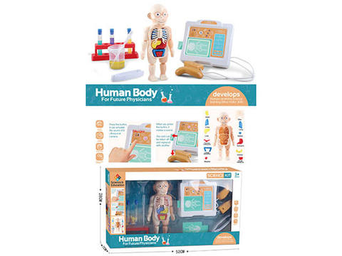 Human Doctor Set
