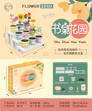 Desk garden scientific and educational toys (3 flower stands and 9 flower pots)