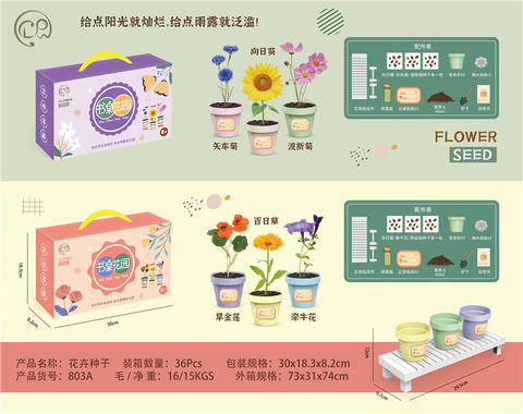 Desk garden scientific and educational toys (1 flower stand and 3 flower pots)
