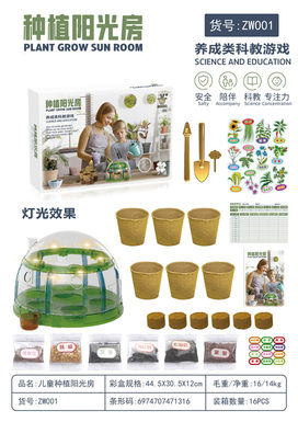 Children's planting sun room science and education toys