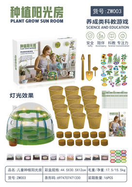 Children's planting sun room science and education toys