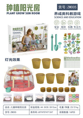 Children's planting sun room science and education toys