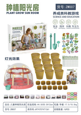 Children's planting sun room science and education toys