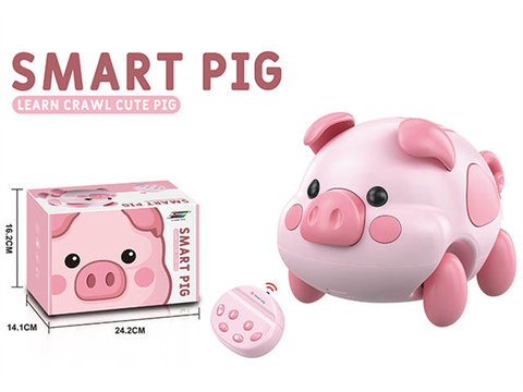 Remote control learning to crawl cute pig