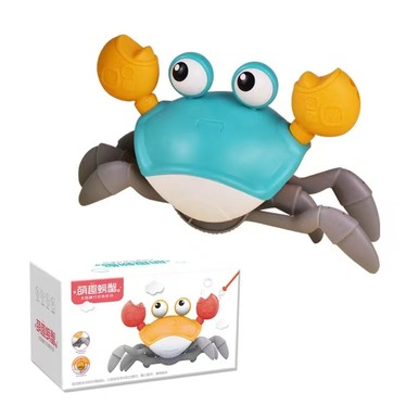 Water and land crab