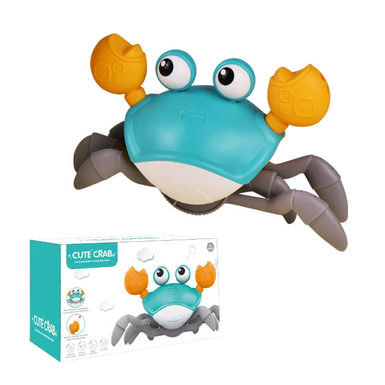 Water and land crab