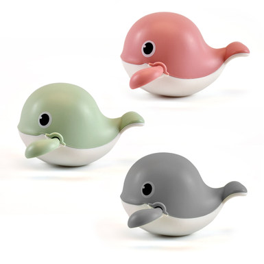 swimming whale