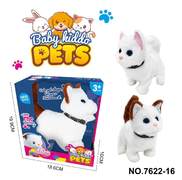 双色中号电动猫带IC（多色混装）