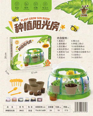Planting sun room scientific and educational toys and educational toys