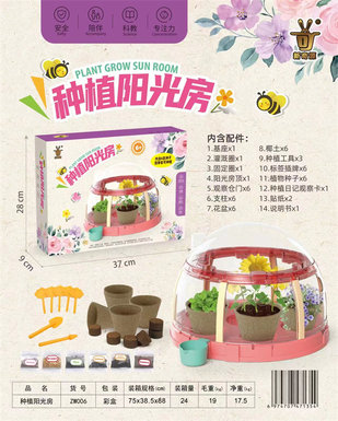 Planting sun room scientific and educational toys and educational toys