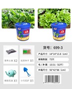 生菜 菠菜科教种植玩具 益智玩具