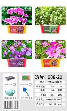 Full sky stars February orchid Gesang flower stone bamboo flower science and education planting toys Educational toys